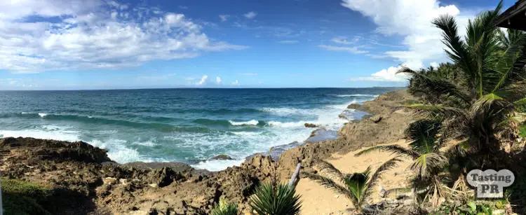 Salpicon Restaurant Puerto Rico