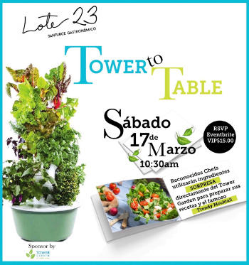 Tower to table 2 Lote 23, San Juan