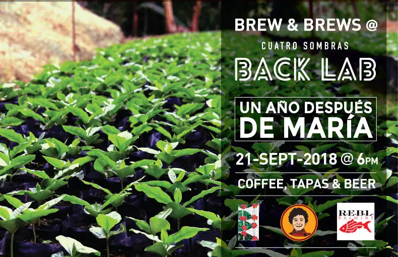 Cuatro Sombras Brew & Brews 
