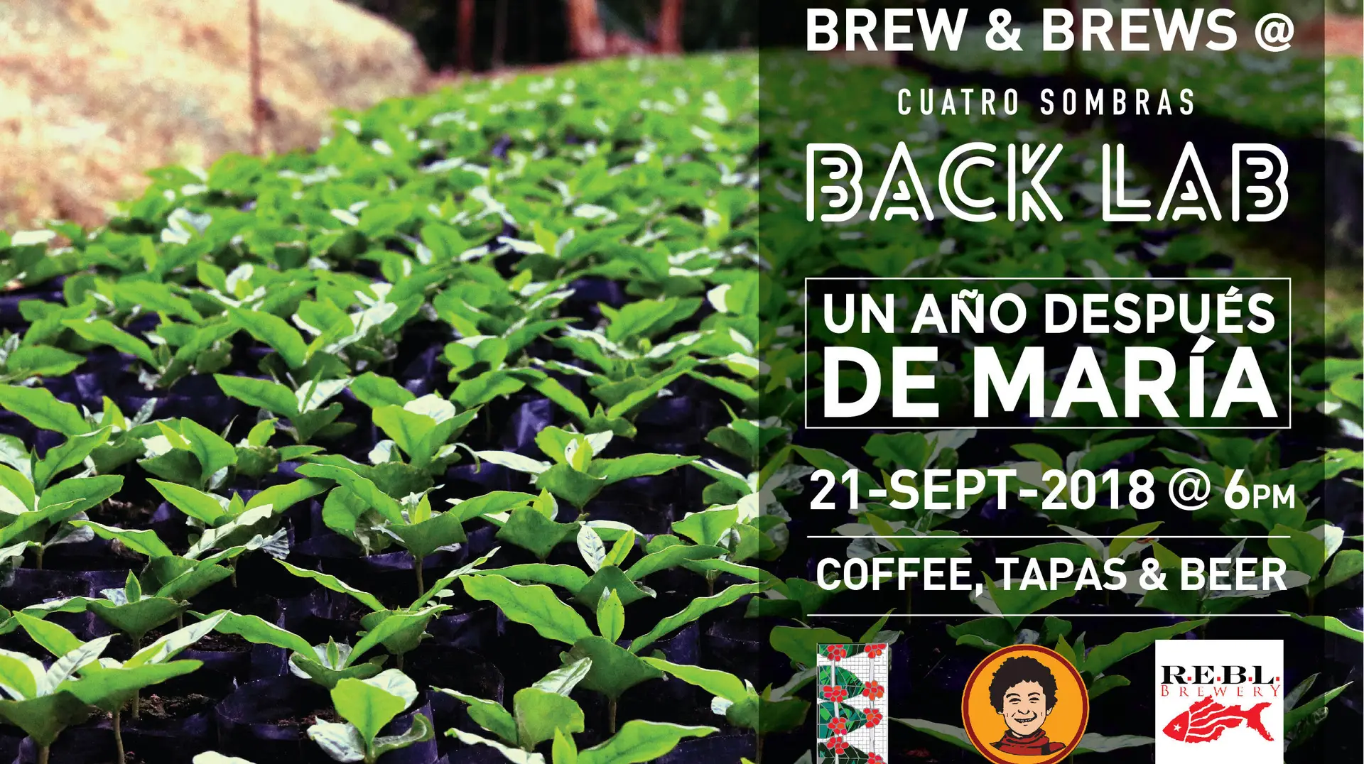 Cuatro Sombras Brew & Brews